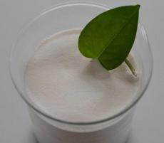 兒童樂園仿真恐龍展 恐龍出租 恐龍租憑-中國(guó)減水劑交易網(wǎng)