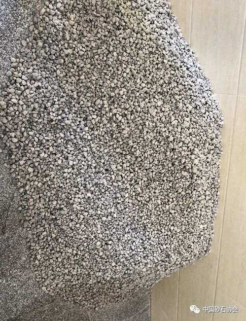 動(dòng)態(tài) 首屆 機(jī)制砂石骨料與高性能混凝土 大型主題學(xué)術(shù)沙龍活動(dòng)代表到國檢集團(tuán)貴州公司考察調(diào)研