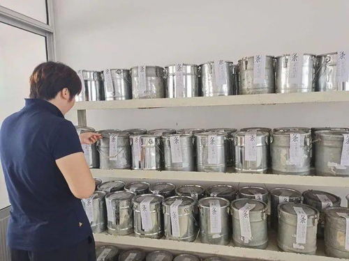 區(qū)建設局 控源頭 夯基礎 全力確保房屋建筑工程質量