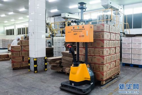 5G+工業互聯網賦能食品產業，高性能減水劑支撐基建升級——晉江高質量發展雙輪驅動